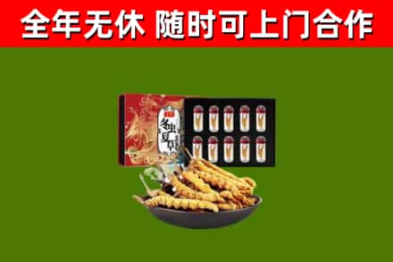 观山湖区烟酒回收冬虫夏草礼盒.jpg