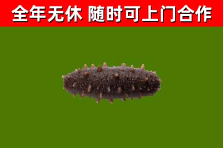 观山湖区烟酒回收干海参.jpg